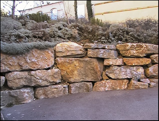 fr022.jpg
