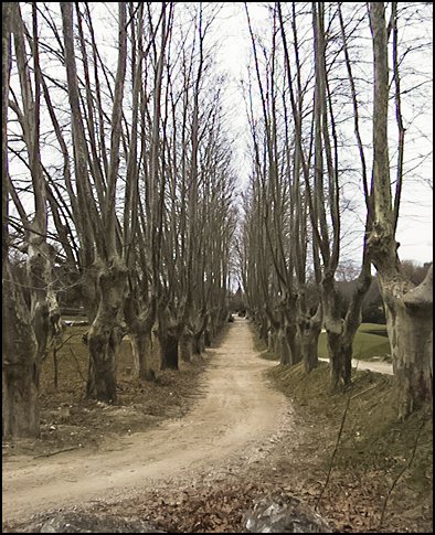 fr050.jpg