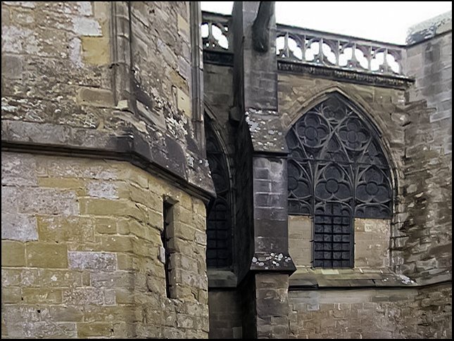 fr062.jpg