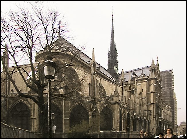 fr1117.jpg