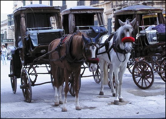 cmalta27.jpg