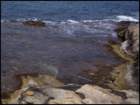 cmalta29_small.jpg