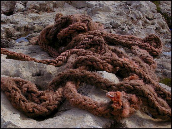 cmalta31.jpg