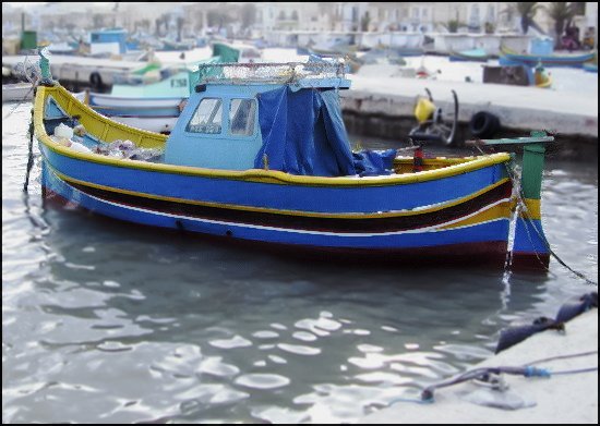 dmalta36.jpg