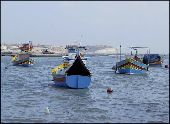 dmalta37.jpg