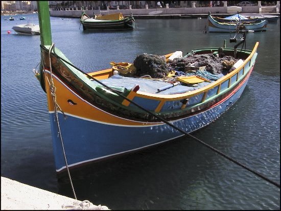 imalta81.jpg