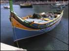 imalta81_small.jpg