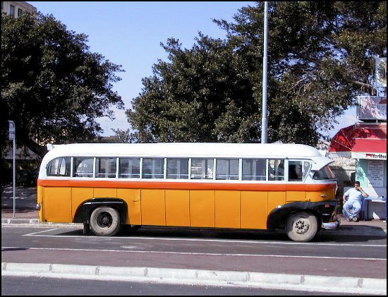jmalta84.jpg