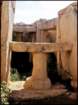 lmalta99_small.jpg