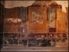 pmalta131_small.jpg