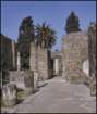 pmalta133_small.jpg
