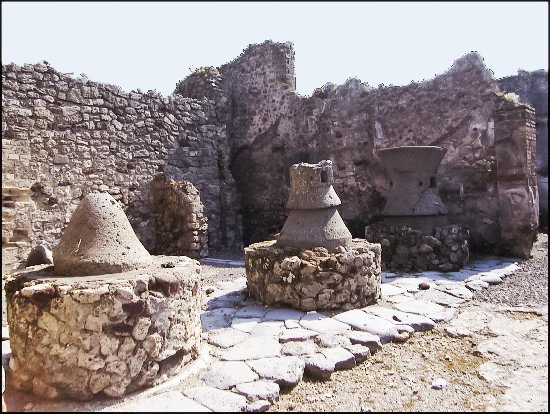pmalta135.jpg