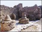 pmalta135_small.jpg
