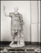 pmalta136_small.jpg