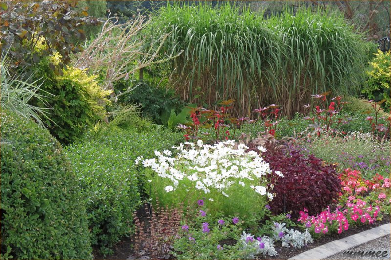 glendalegardenshcpperennialgarden.jpg