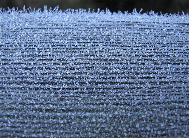 frostcloseup.jpg