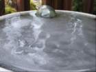 frozenbirdbath_small.jpg