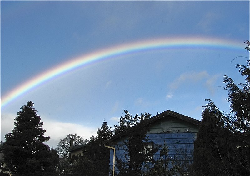 rainbow.jpg