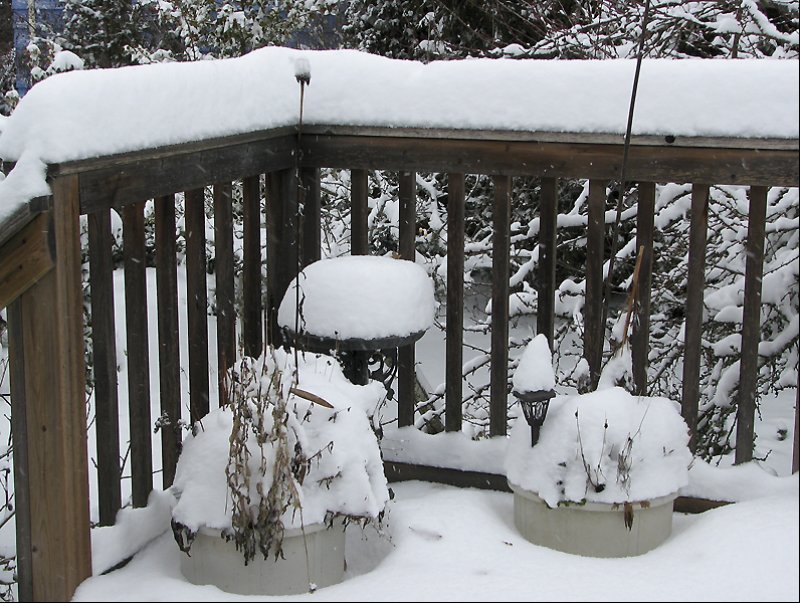 thedeepsnowonthedeck.jpg