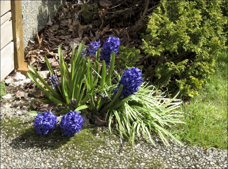 mar64e.jpg