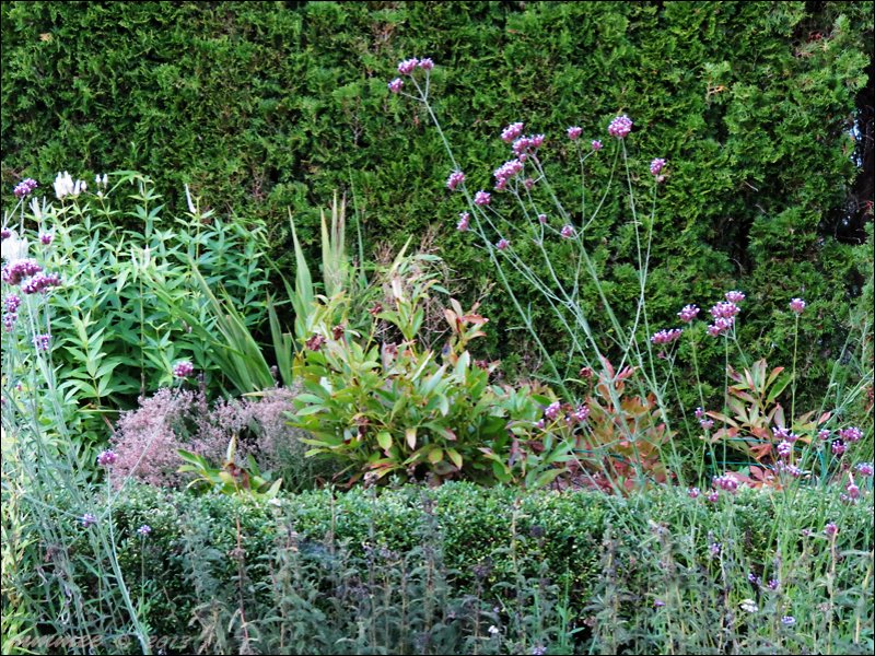 rectanglefrontflowerbed.jpg