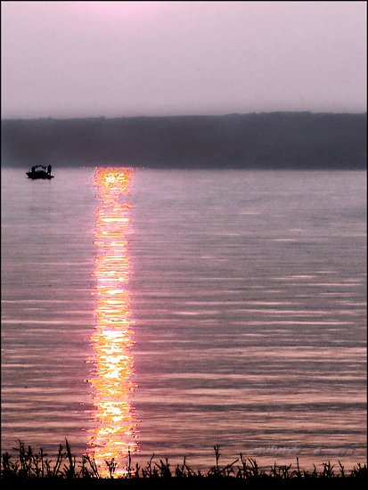 wa80.jpg