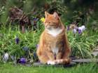 gacat3_small.jpg